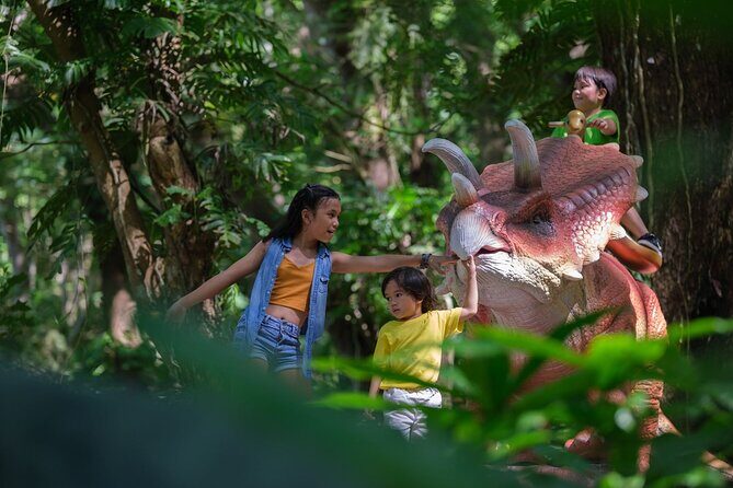 6 Hours Giant Zipline Adventure Park in Fiji - Jungle Safari Breaks: Butterflies, Orchids, and a Reset Between Flights