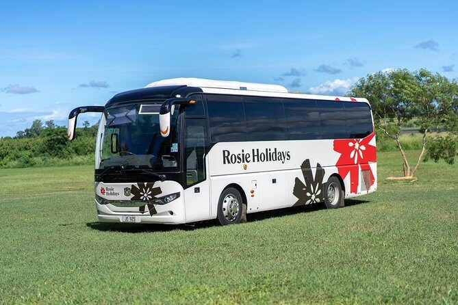 Arrival Shared Transfer : Airport to Hotel - Key Things I’d Bookmark Before You Land