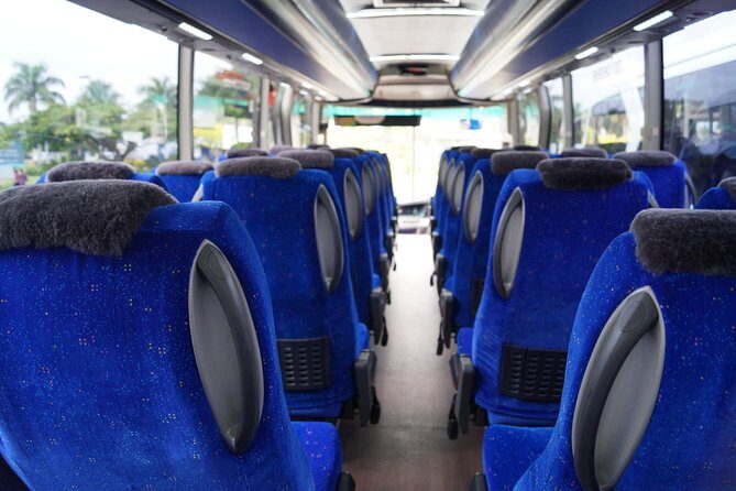 Arrival Shared Transfer : Airport to Hotel - Value Check: Is $35.75 a Smart Spend?