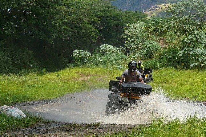 ATV Quad Bike Adventure Tour to Remote Village and School (Departs Nadi) - Key reasons this ATV tour earns its near-perfect rating