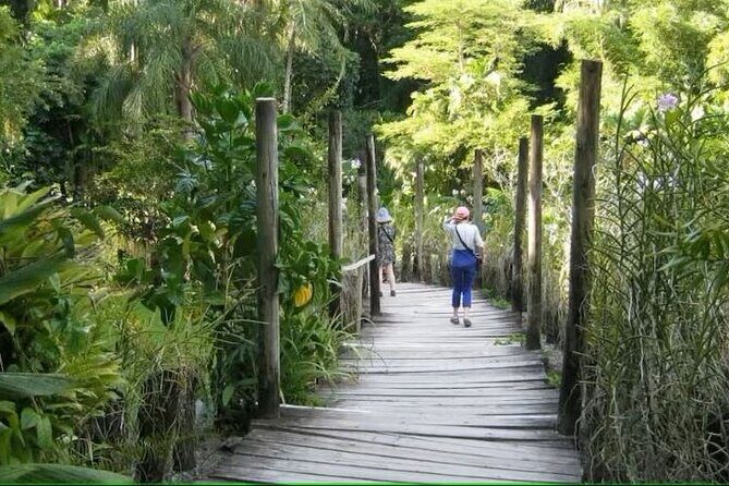 Best of Nadi Highlights - Guides make a difference: what you can look for