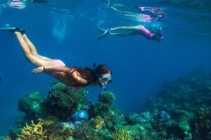 Capt Cook Cruises Super Saver Combo: Day Sail + Dinner Cruise - Tivua and the Water Activities: Snorkel, Kayak, SUP, and More