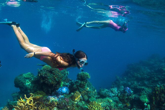 Capt Cook Cruises Super Saver Combo: Day Sail + Dinner Cruise - Tivua and the Water Activities: Snorkel, Kayak, SUP, and More