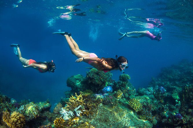 Captain Cook Cruises Fiji - Island and Reef Day Cruise - Kava Welcome, Music, and the Boat Atmosphere