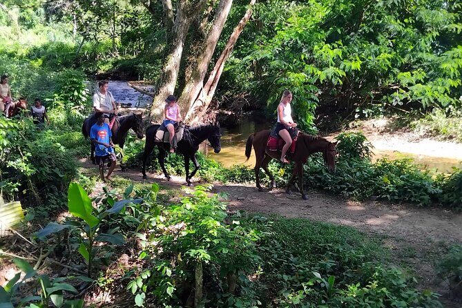 ''Coral Coast Adventure: Biausevu Waterfall & Natadola Beach !'' - Natadola Beach Time: Gorgeous Shore, Short Window