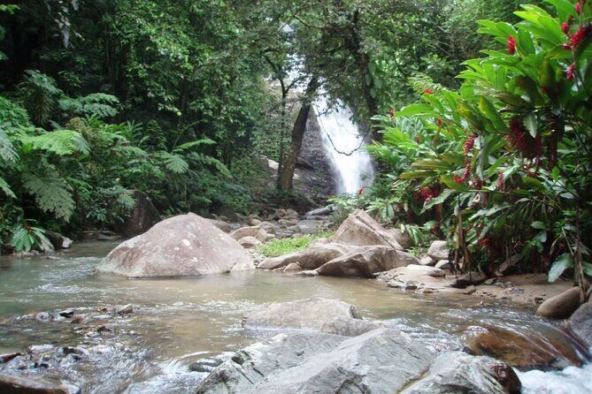 ''Coral Coast Adventure: Biausevu Waterfall & Natadola Beach !'' - Who This Tour Fits Best (and Who Might Not)