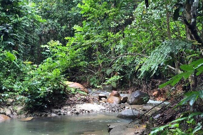 ''Coral Coast Adventure: Biausevu Waterfall & Natadola Beach !'' - Should You Book This Biausevu and Natadola Combo?