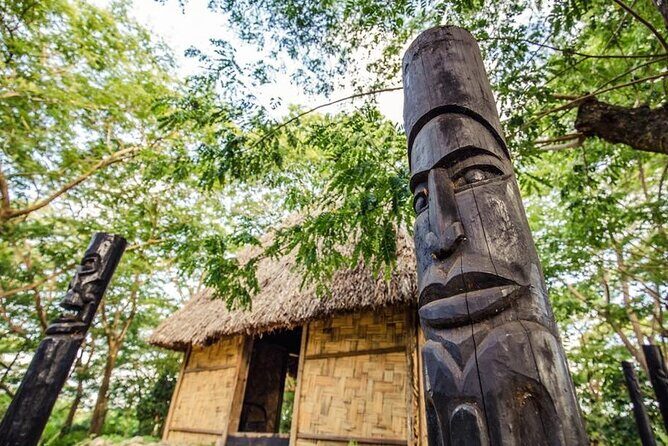 Cultural Day Tour - Kava ceremony and meke dancing: how to decide whether to participate