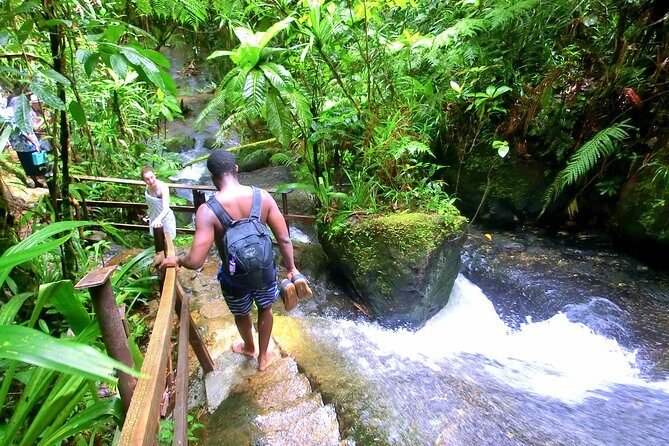 Customized Suva day tour - Quick hits before you go