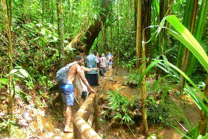 Customized Suva day tour - Nature time at the waterfalls: the fun part, with one catch