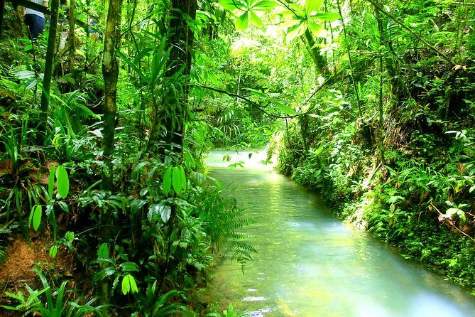 Customized Suva day tour - The ride and pacing: private feel, shared realities