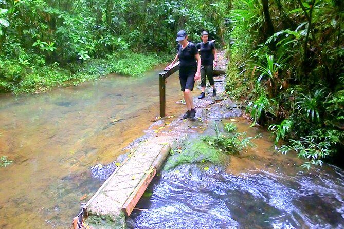 Customized Suva day tour - What’s included (and how that changes the value)