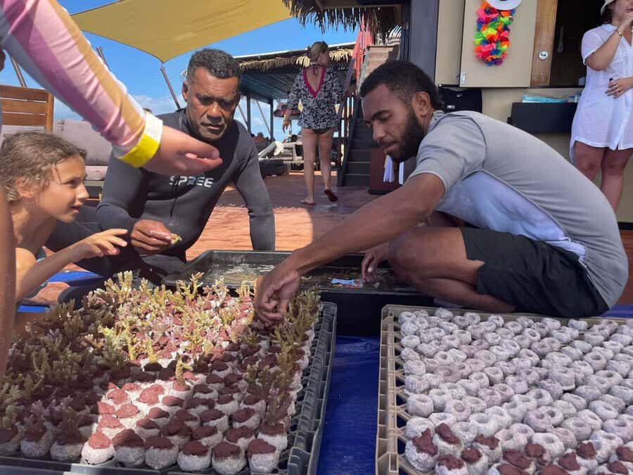 Denarau: Seventh Heaven Floating Bar Day Trip - Should you book the Seventh Heaven Floating Bar day trip?