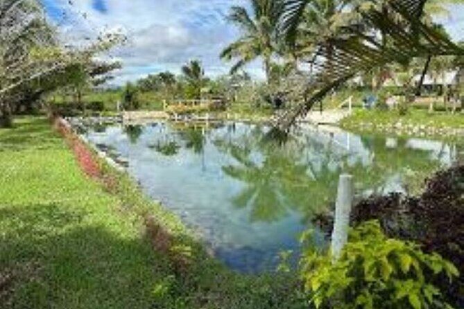 Discover Mud pool/Hot -Spring Nadi - The Viseisei village pass and what you’ll notice from the road