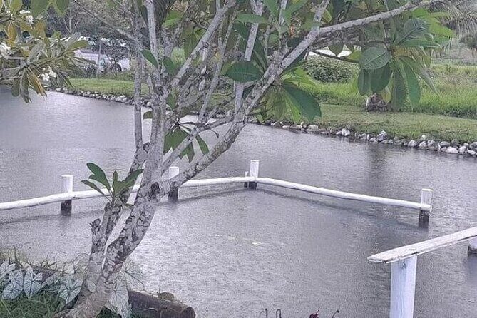 Discover Mud pool/Hot -Spring Nadi - What’s included vs. what you’ll pay for (real value at $46.57)