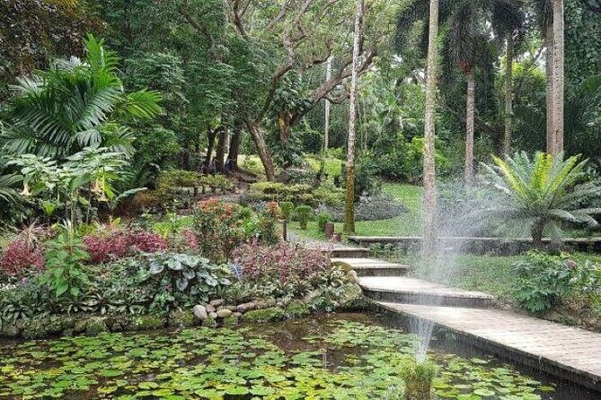 Discover Mud pool/Hot -Spring Nadi - Comfort and packing tips that actually matter