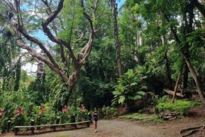 Discover Nadi Fiji Private Tour (All Fees Included) - Where You Meet and How You’ll Get Around Nadi