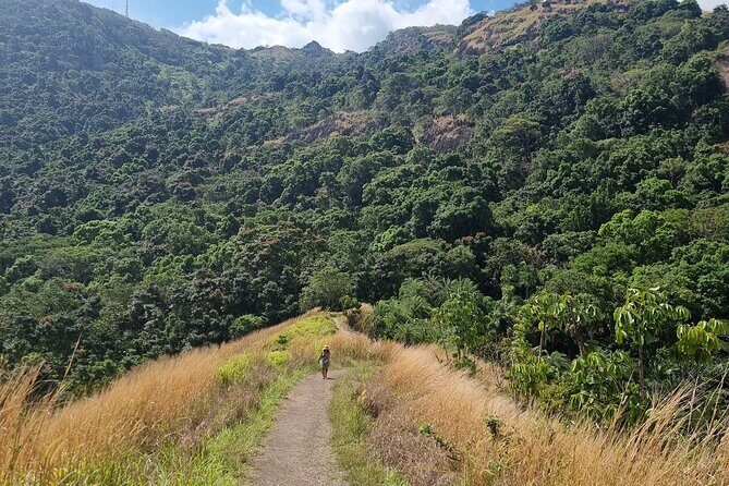 Discover Nadi Fiji Private Tour (All Fees Included) - Stop 5: Nena’s Kitchen Meal (Lunch or Dinner Included)