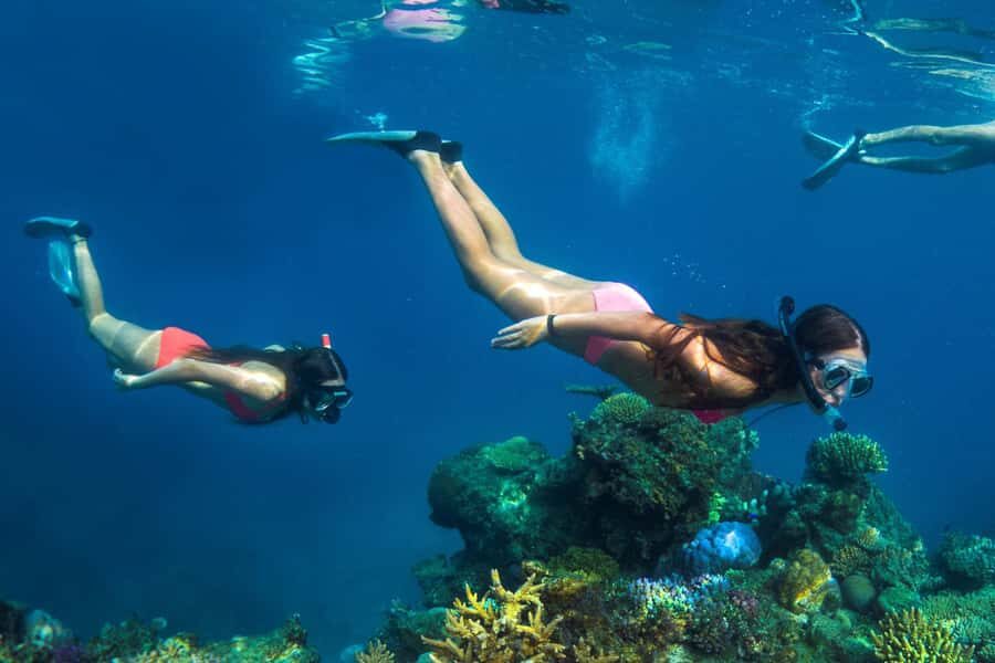 Fiji: Captain Cook Cruises - Island & Reef Day Trip - Snorkeling and reef behavior: how to get better results