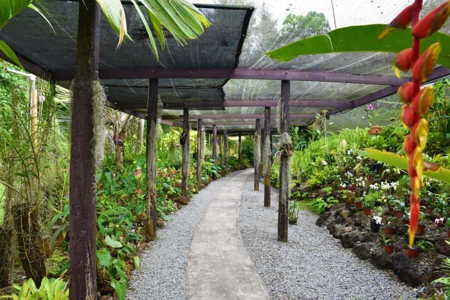 Fiji: Discover Nadi with Sabeto Hotspring and Mudpool Tour - Sabeto Tifajek Mud Pool and Hot Spring: The Main Event