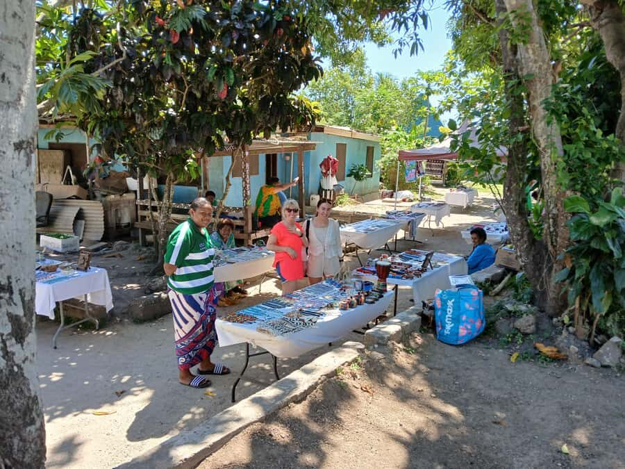 Fiji: Discover Nadi with Sabeto Hotspring and Mudpool Tour - Transfers and Timing: How to Make the Day Feel Easy