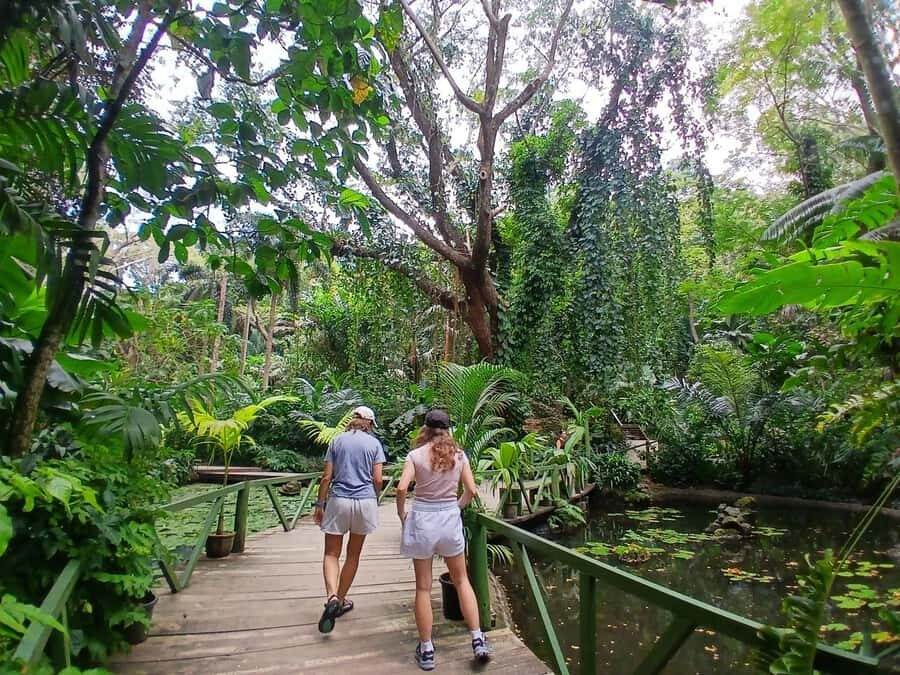 FIJI: Garden of the Sleeping Giant - Key points before you go