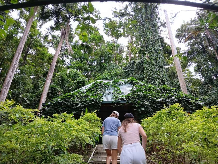 FIJI: Garden of the Sleeping Giant - The orchid gardens: where your camera earns its vacation too