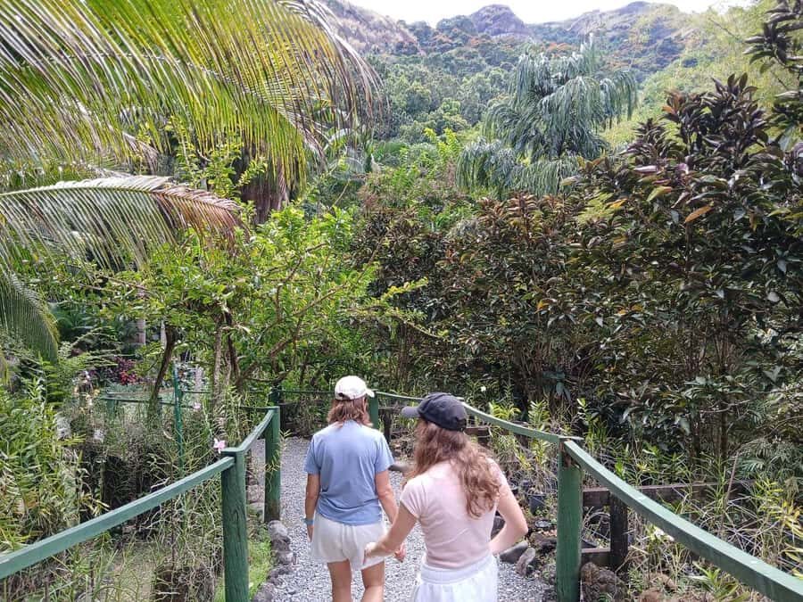 FIJI: Garden of the Sleeping Giant - Jungle walk with lily pond and native forest paths
