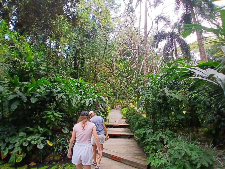 FIJI: Garden of the Sleeping Giant - The lookout hike: short effort, bigger payoff