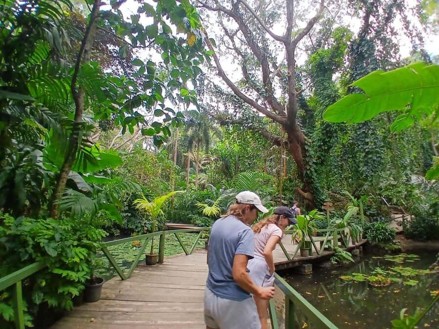 FIJI: Garden of the Sleeping Giant - Footwear reality check for boardwalks and rainy days