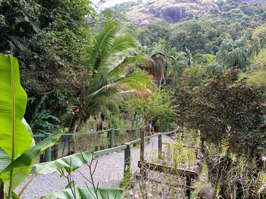 FIJI: Garden of the Sleeping Giant - What you get (and what you don’t) when you book