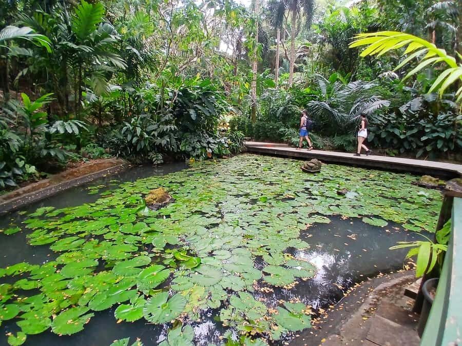 FIJI: Garden of the Sleeping Giant - Time planning: how to fit this into your Fiji day