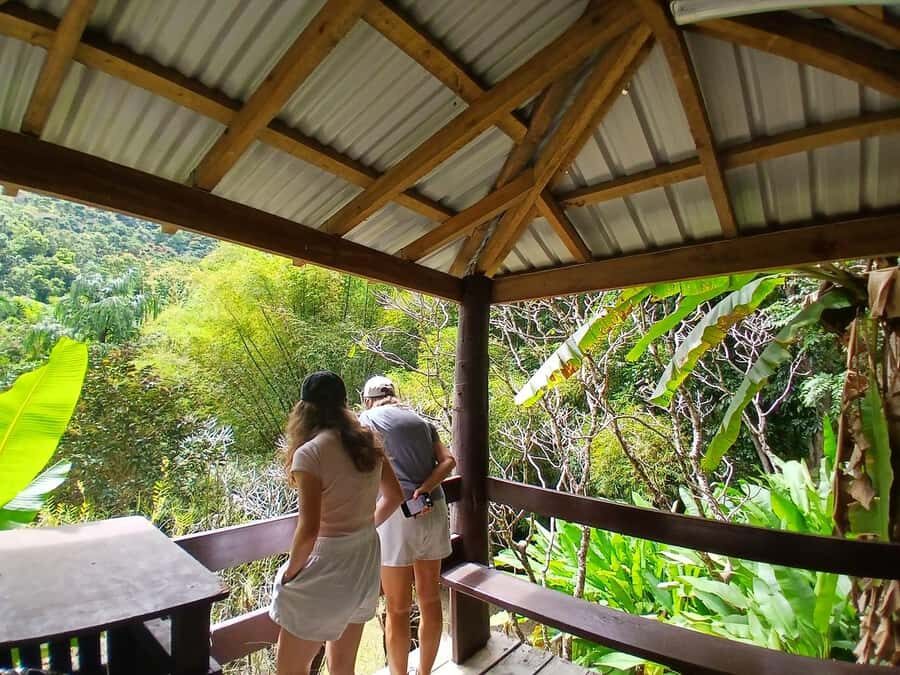 FIJI: Garden of the Sleeping Giant - How the Sabeto Valley drive sets the tone