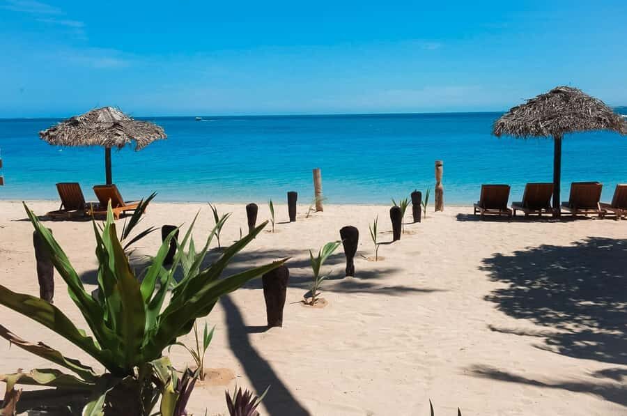 Fiji: Half-Day Island Activities Tour with Jungle Cruise - The Medicine Jungle Bush Walk and Ancient Pottery Site