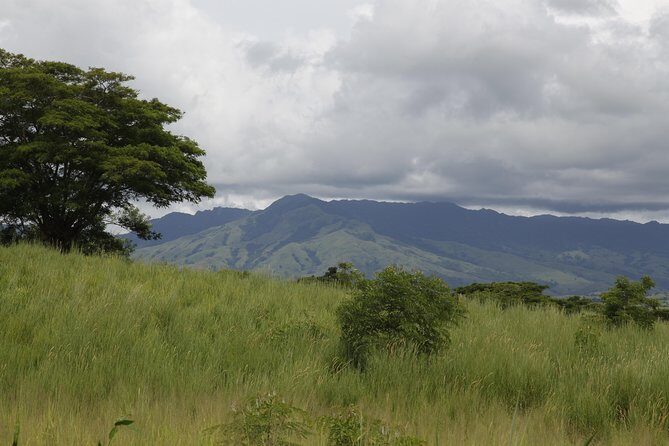 Fiji Local Village, Market, Temple & Garden of Sleeping Giant with Mud Pool Tour - Key highlights to know before you go