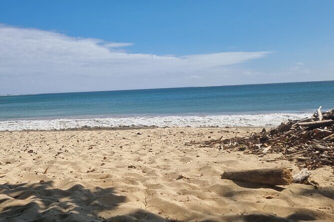Fiji Local Village, Market, Temple & Garden of Sleeping Giant with Mud Pool Tour - Sri Siva Subramaniya Swami Temple: dress code and what to notice