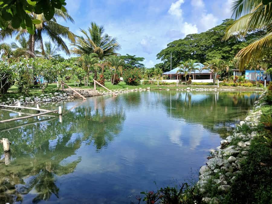 Fiji: Tifajek Mud Pool & Hotspring Tours & Tickets - Getting There: Scenic Drive, Van Transfers, and Pickup Timing