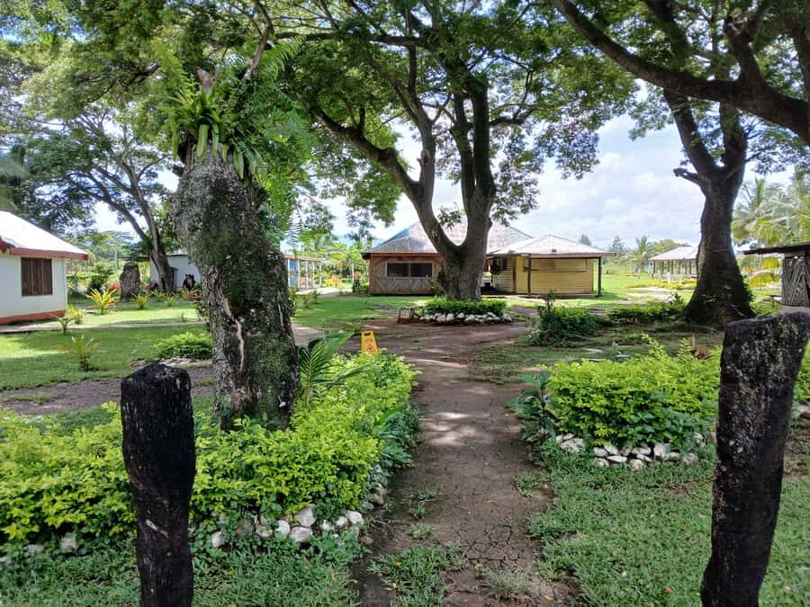 Fiji: Tifajek Mud Pool & Hotspring Tours & Tickets - Price and Value: Why Around $21 Can Make Sense