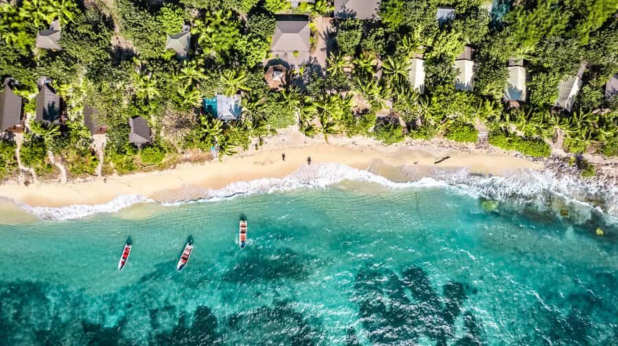 Fiji: Ultimate Encounters Snorkel with Sharks and Lunch - Key Highlights to Know Before You Go