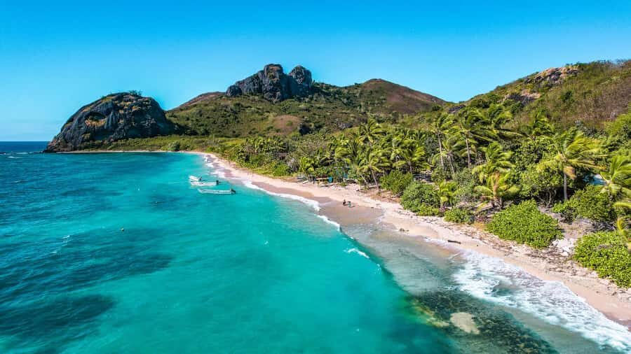 Fiji: Ultimate Encounters Snorkel with Sharks and Lunch - Should You Book the Fiji Ultimate Encounters Snorkel with Sharks and Lunch?