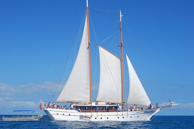 Fijian Islands and Snorkel Full-Day Whales Tale Cruise including Beach BBQ Lunch - Key Points You’ll Care About
