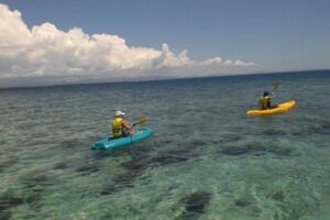 Fijian Islands and Snorkel Full-Day Whales Tale Cruise including Beach BBQ Lunch - The Morning Sail: Champagne-Style Breakfast on the Mamanuca Route