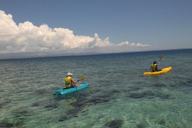 Fijian Islands and Snorkel Full-Day Whales Tale Cruise including Beach BBQ Lunch - Snorkel Island Time: Reef Gear, Swimming, and Island Freedom