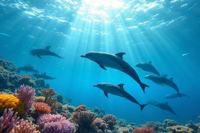Fiji’s Best Dolphins tour and Snorkeling Adventure - A full day in Fiji: dolphins, fishing, snorkeling, and sand in one ticket