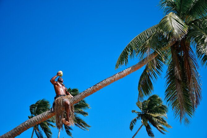 Full Day Cultural Island Tour with Lunch & Cruise - From the jetty to the jungle cruise: where the day starts right