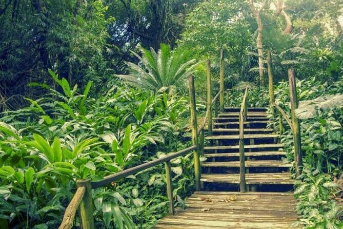 Full Day Discover Nadi Tour ( From Sigatoka Coral coast Hotels ) - Key highlights to know