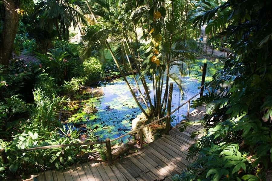 Garden of Sleeping Giant with Tifajek Mudpool Hotspring Tour - Optional massage and the foot soak add-on: when it’s worth extra