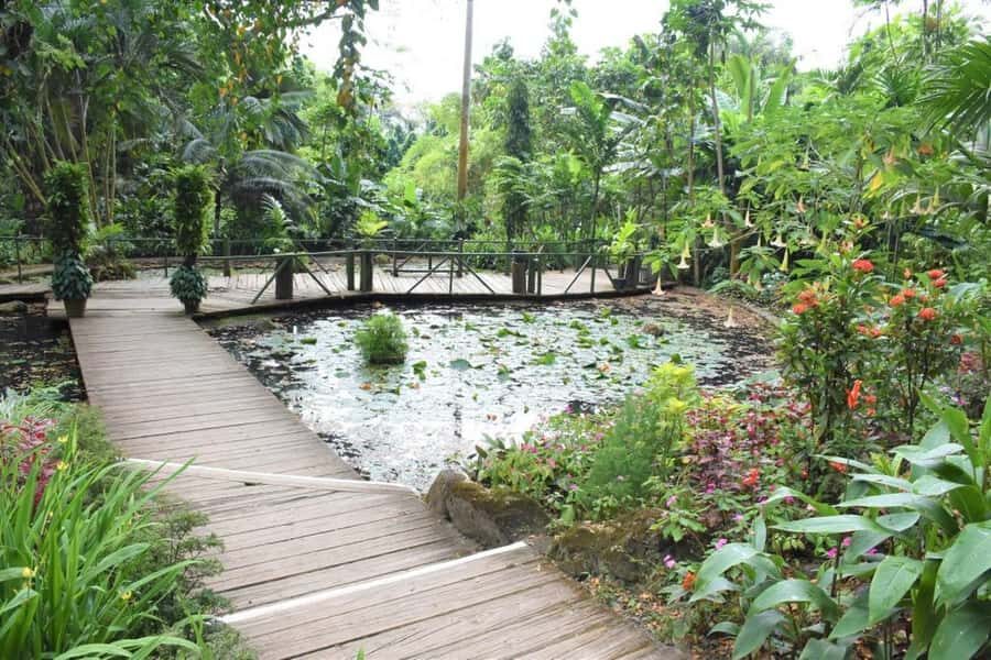 Garden of Sleeping Giant with Tifajek Mudpool Hotspring Tour - Price and value: what $65 buys you (and what you might compare)