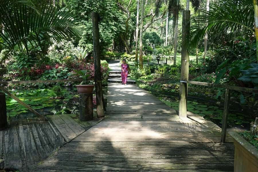 Garden of Sleeping Giant with Tifajek Mudpool Hotspring Tour - Should you book Garden of the Sleeping Giant + Tifajek mud baths?