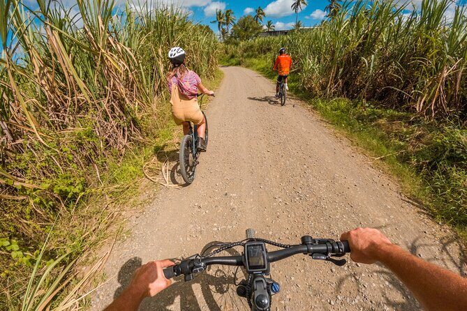 Guided E-bike Tour - Off-Road Tracks, Streams, and Those View Stops That Matter